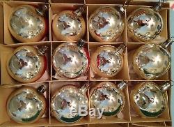 12 Antique Germany Silver Feather Tree Reflector Indents Glass Xmas Ornament Box