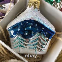 24 pc. Vintage Tradition German Christmas Glass Ornaments Set with Original Box 3