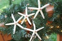Handcrafted XL Large Starfish Christmas Ornaments / Silver Accents, SS- 103