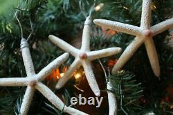 Handmade Starfish Christmas Tree Ornaments For Crafts, Silver Accents, SS- 103