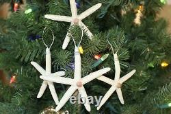 Handmade Starfish Christmas Tree Ornaments For Crafts, Silver Accents, SS- 103