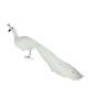 Northlight 39.5 Winter's Beauty White Peacock Bird Tail Feather Christmas Decor