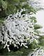 Silver Frozen Branch Picks Set Of 12 Christmas Tree Decoration Handcrafted