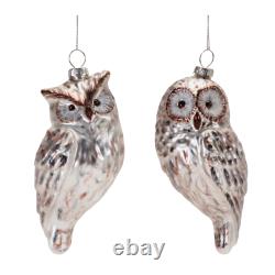 Silver Glass Owl Ornament (Set of 12)