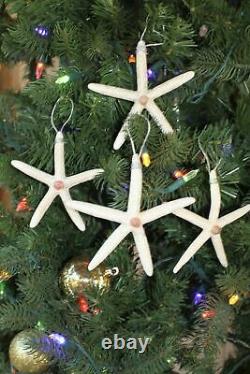 Top Quality Handmade Starfish Christmas Tree Ornaments, Silver Accents, SS- 103